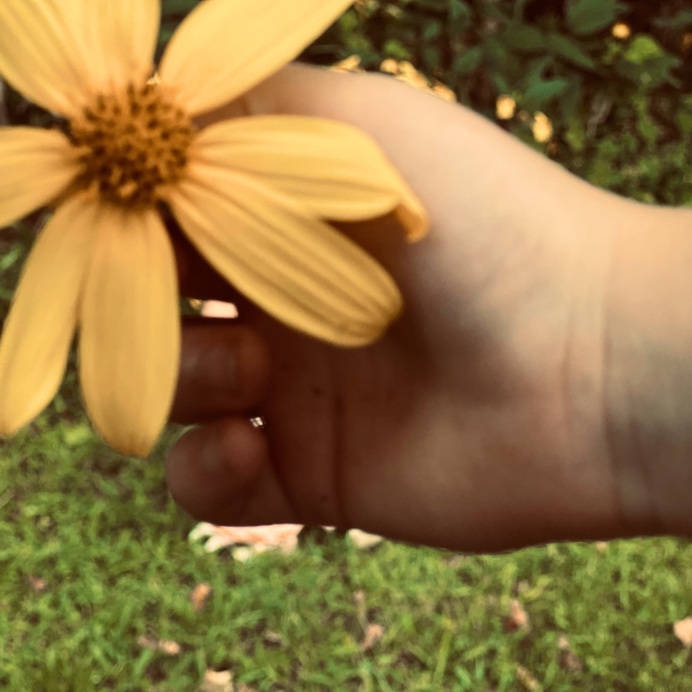 Meet your Posher, Kayla